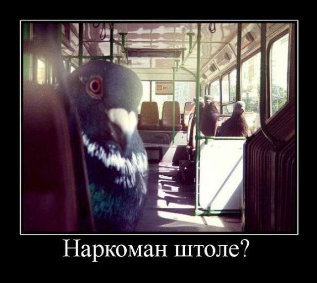 Подборка картинок на четверг