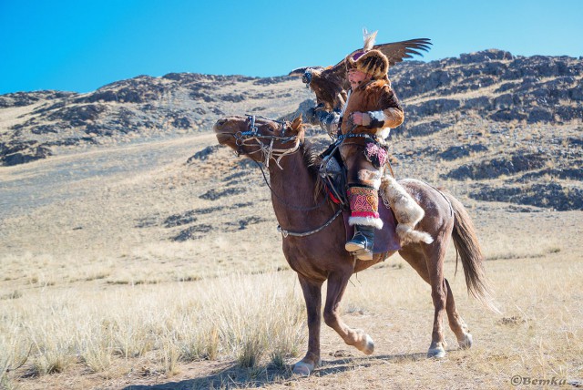 Подборка интересных и веселых картинок