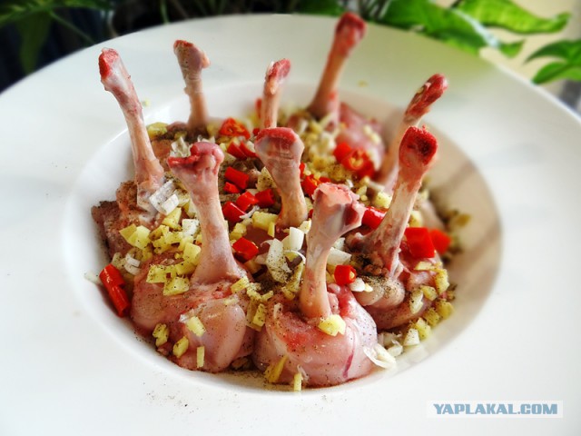 Соси – грызи, кусай - запивай