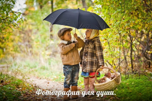 Картинки из сети