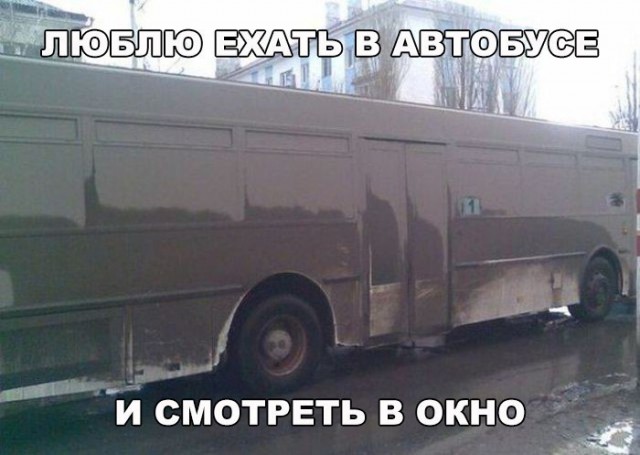 Прикольные картинки