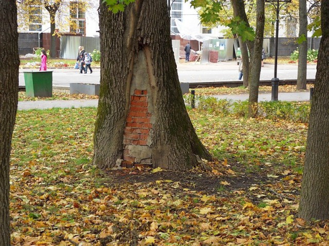 Доза фотокартинок