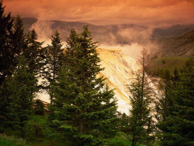 Моменты, запечатлённые на фото и просто позитив 5