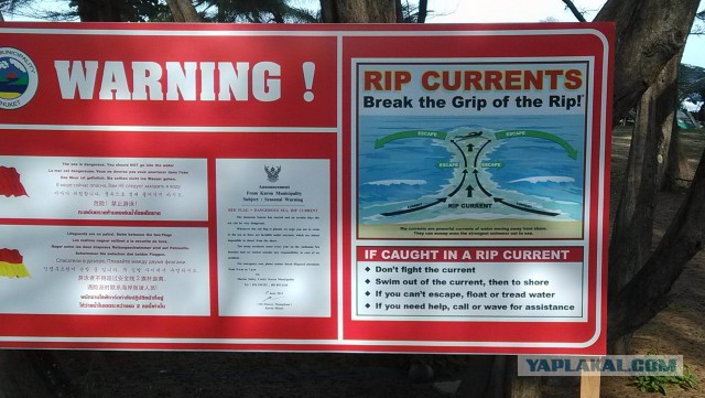На пляже во Флориде 70 человек выстроились в цепочку, чтобы спасти тонущую семью