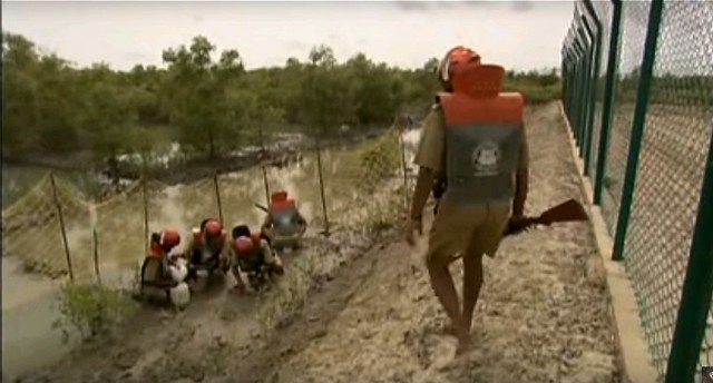 Тигр ворует собаку 18+