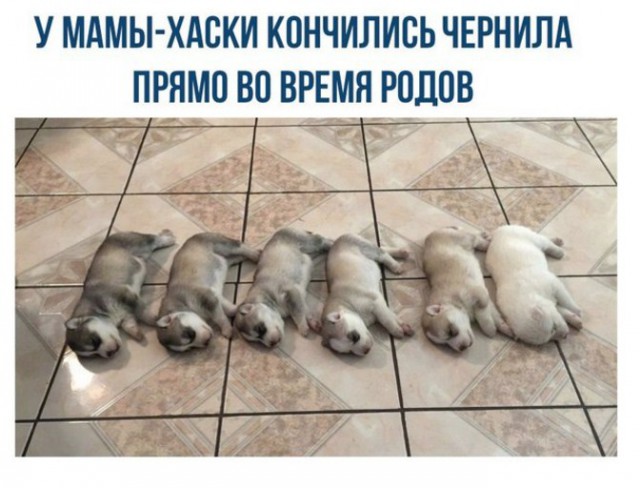 Подборка интересных и веселых картинок