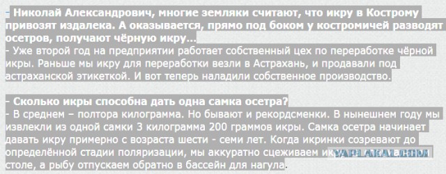 Пожрать в СССР. Свидетельство очевидца