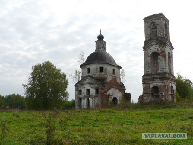 Родина. Костромская область.