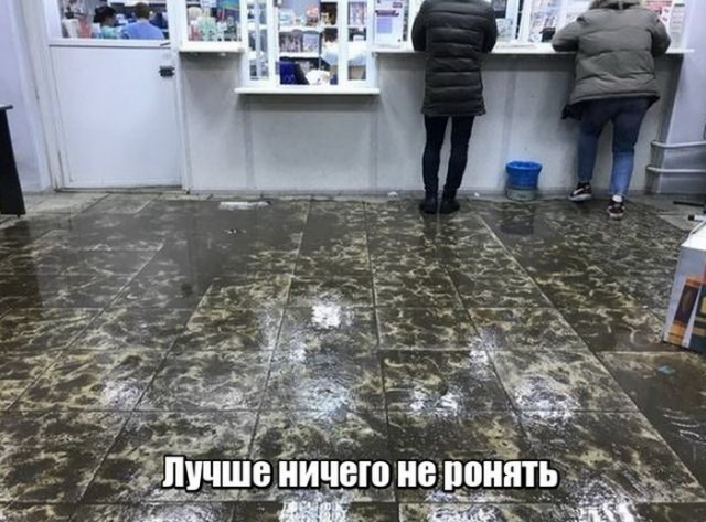 Подборка интересных и веселых картинок