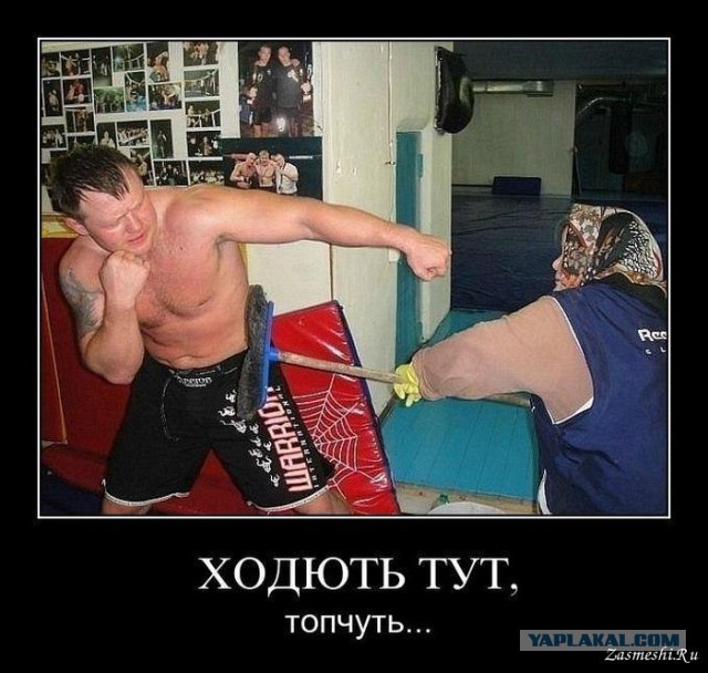 Хочешь максимально влиять на все процессы? Становись уборщицей Заводского суда!