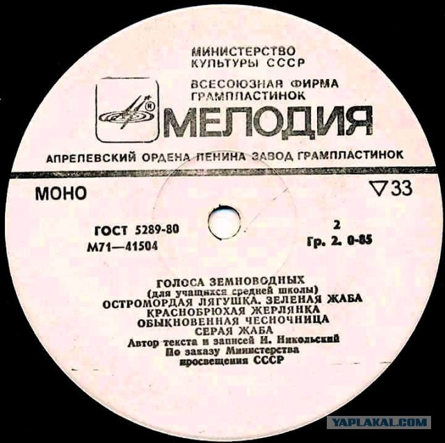 Мало извилин