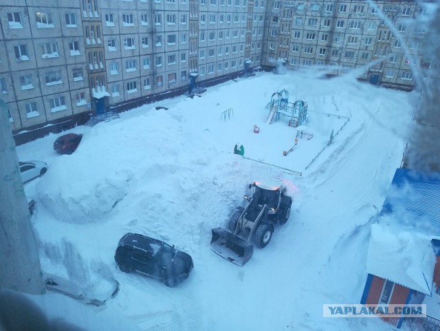 Север. Холодно. 2019