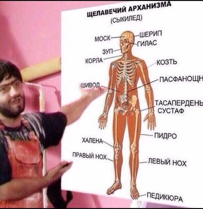 Человек без жира