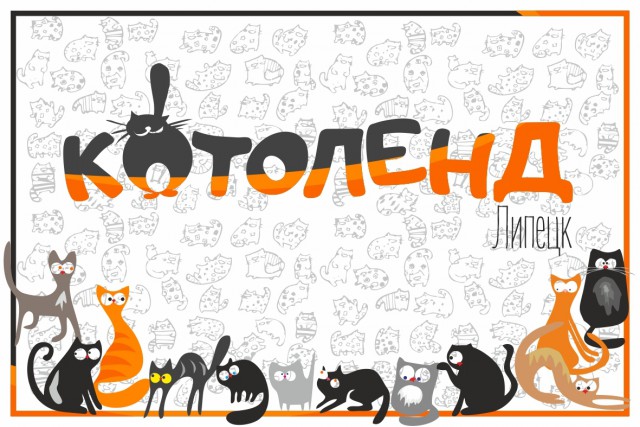 Мой личный "Котоленд" 177