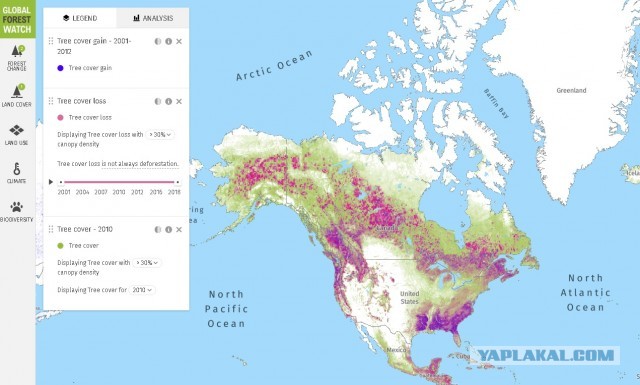 Карта потери древесного покрова России с 2001 по 2019 год