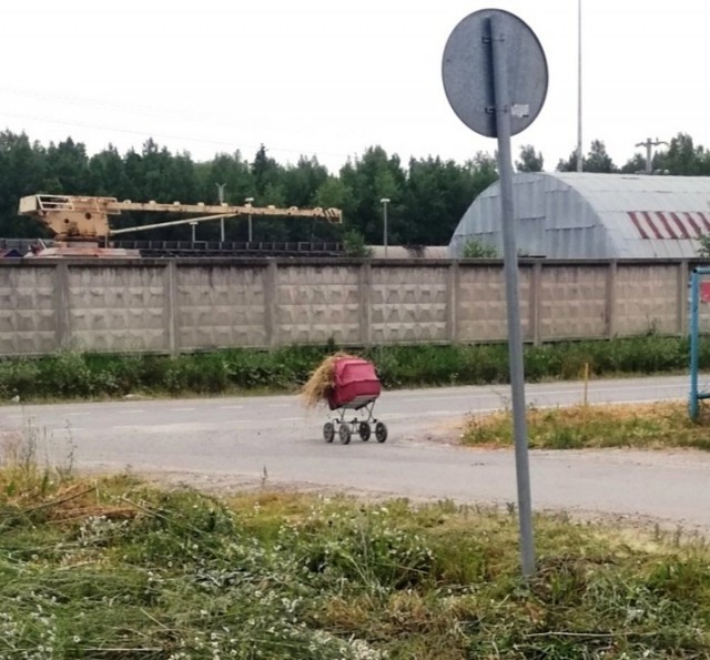 Удивительные снимки с российских просторов 28.07.19