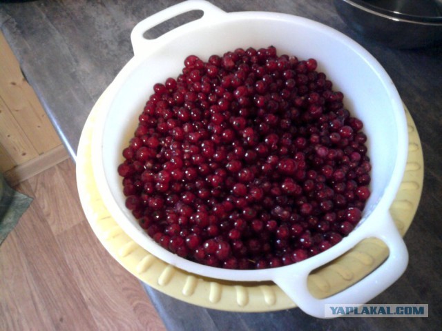 Соус из красной смородины