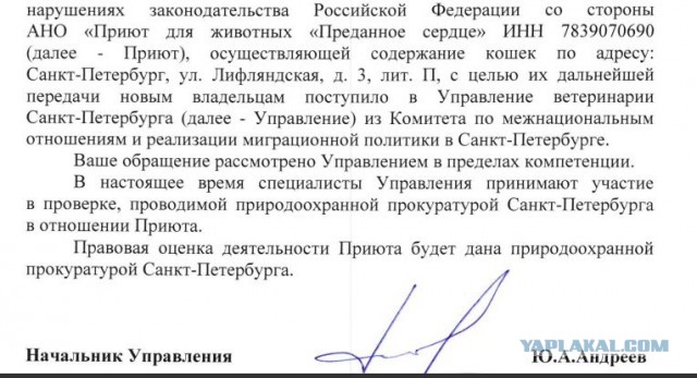 Помогите вернуть кота! Приют "Преданное сердце" украл кота и не отдает!-2
