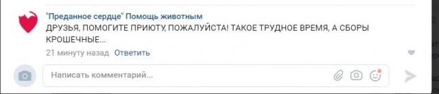 Помогите вернуть кота! Приют "Преданное сердце" украл кота и не отдает!-2