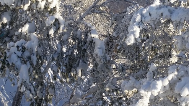 Немного зимних фото