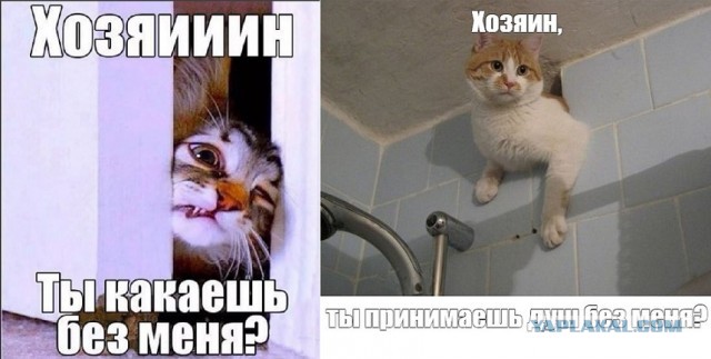 Я это не ем, но дай