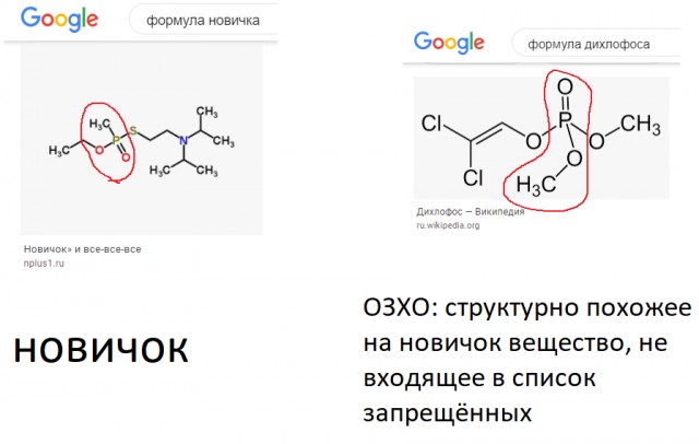 В ОЗХО подтвердили наличие «Новичка» в анализах Навального