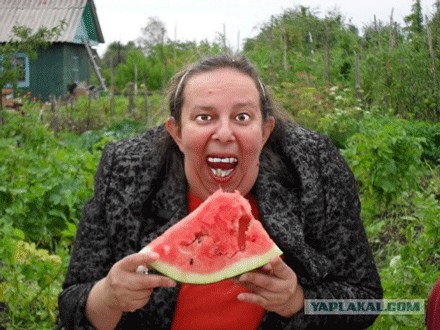 Фотожаба: Принцесса ФИОНА