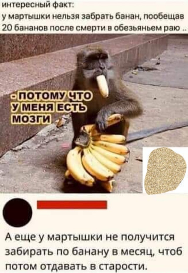 Бредзона 10.02.21