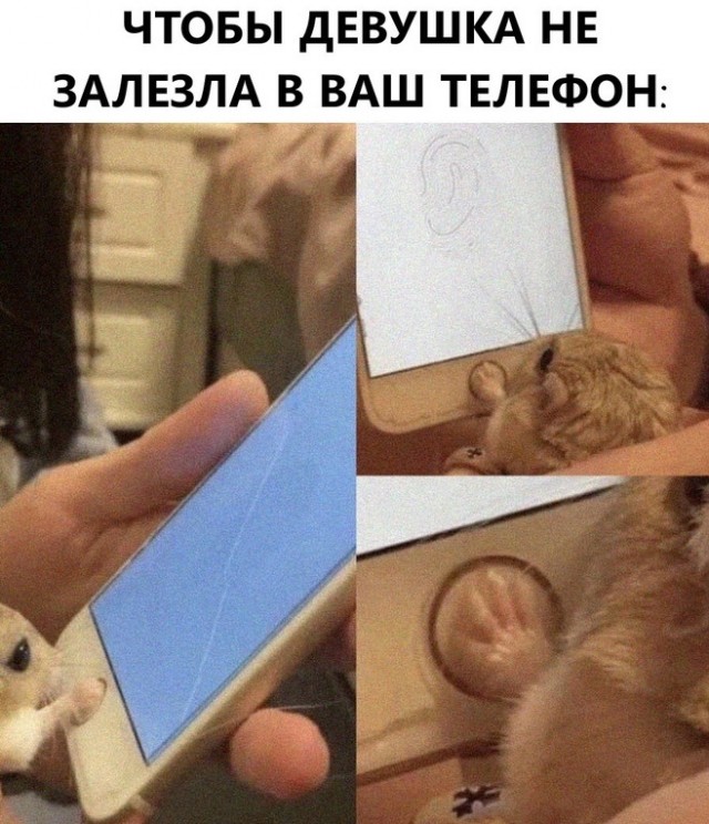 Весёлый полтишок 5.03