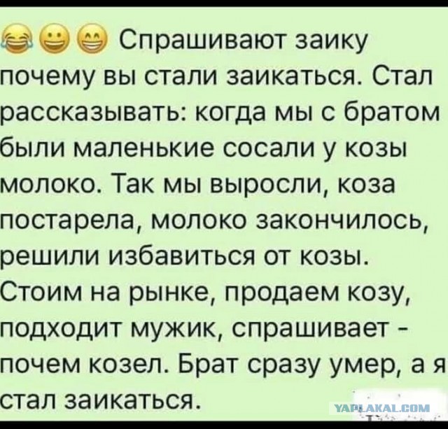 Весёлый полтишок 8.06.21