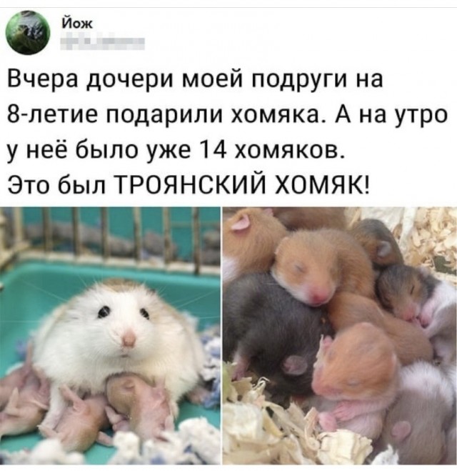 Картинки на вчера