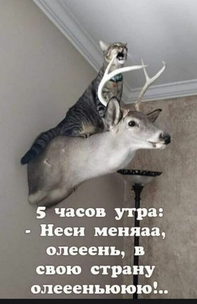 Всякие разные картинки 019
