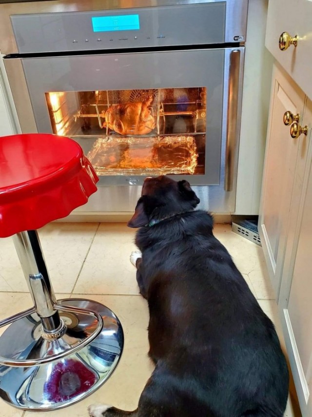 Картинки и мемы для настроения 04.08.2021