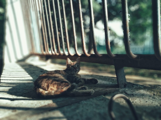 Моя мобильная фотография