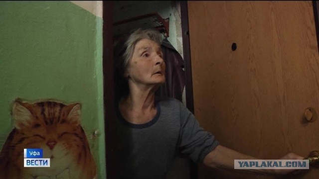 Пенсионерка из Уфы ударила школьницу головой об стену за кормление кошек