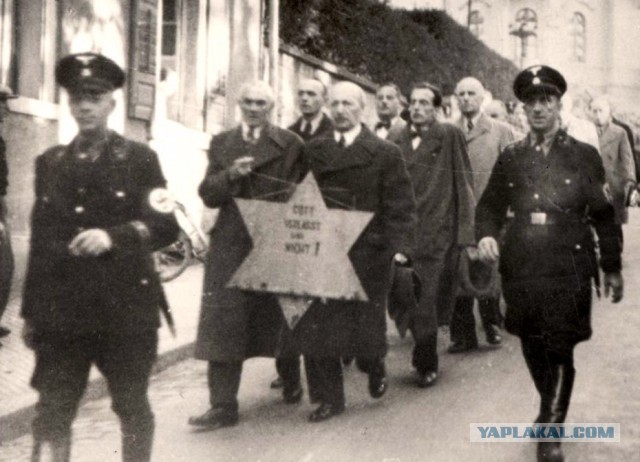 Владелец антикварной лавки написал послание непривитым и через некоторое время пожалел
