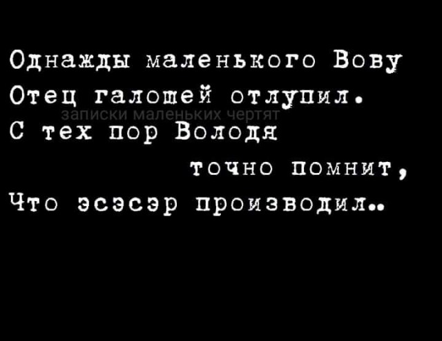 Всяческие картинки 15.12.2021