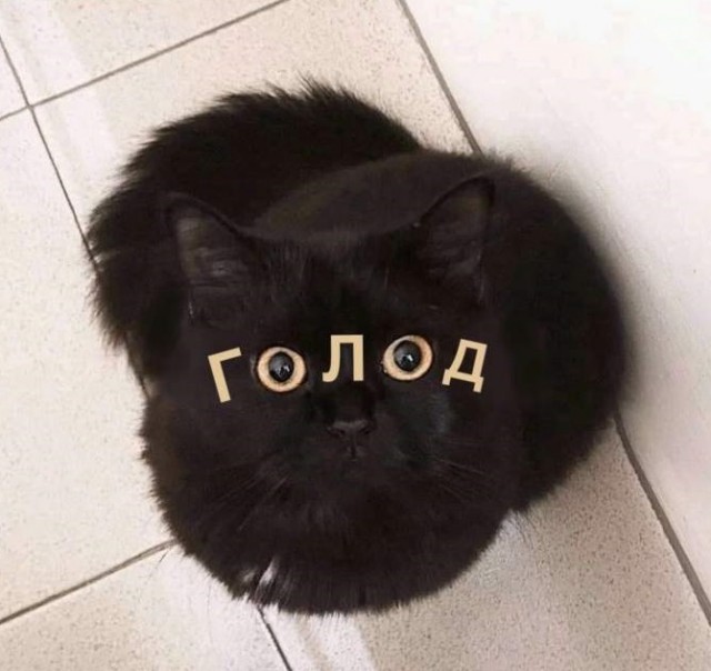 Подборка картинок и мемов для поднятия настроения