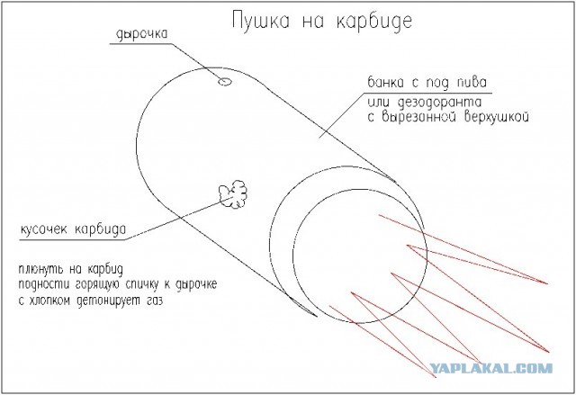 Проверка возраста