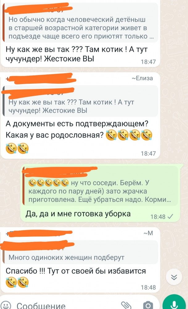 Общедомовой чат - как отдельный вид искусства