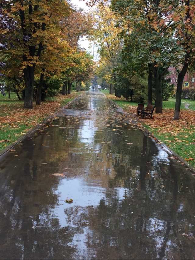 Фотки с телефона.