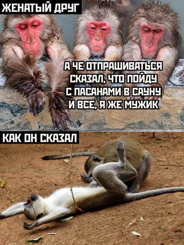 Пятница. И немного слегка пошлых картинок с надписями и без 16+ (22.04)