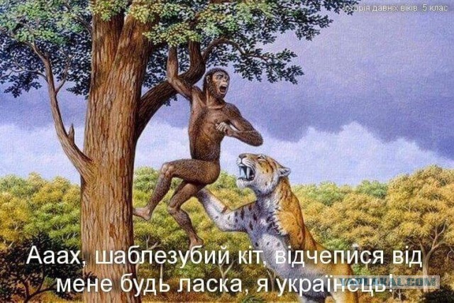 Николя, вы знали, что Вы украинец?