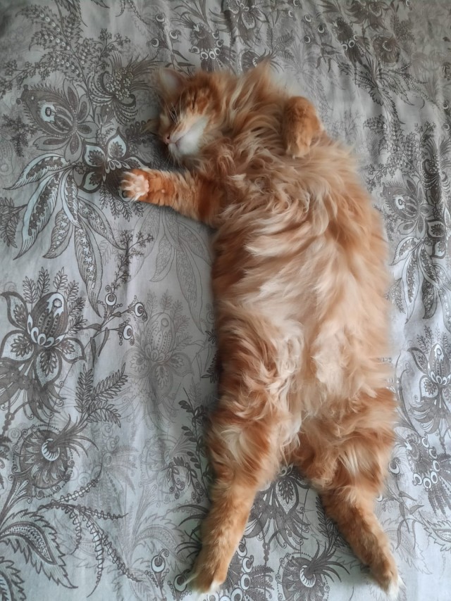 У кого так же?