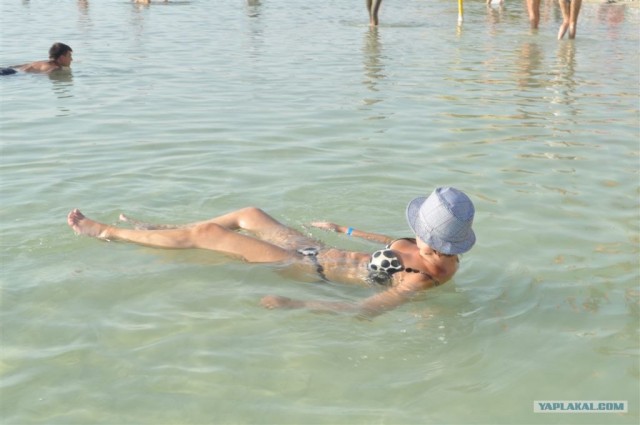 Как я ездил в Египет