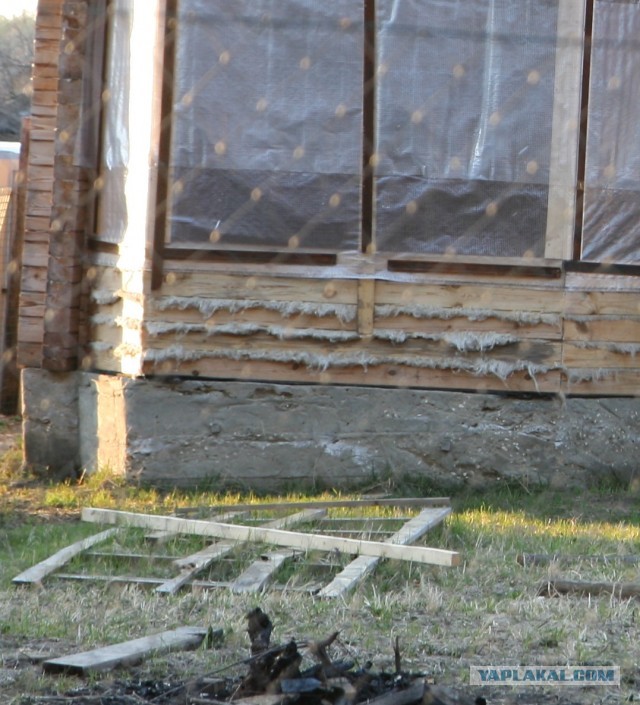 Некоторые бабы кончают