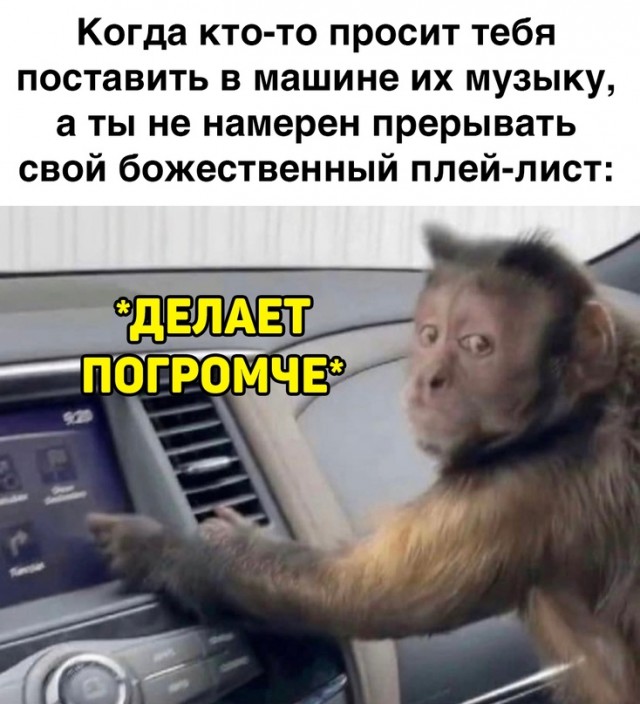 Немного картинок для настроения - 137