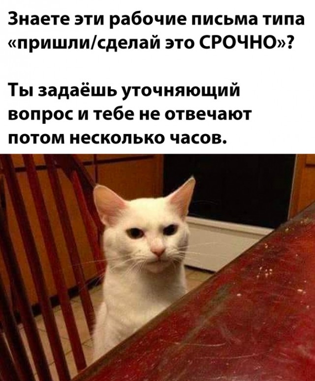 Немного картинок для настроения - 127