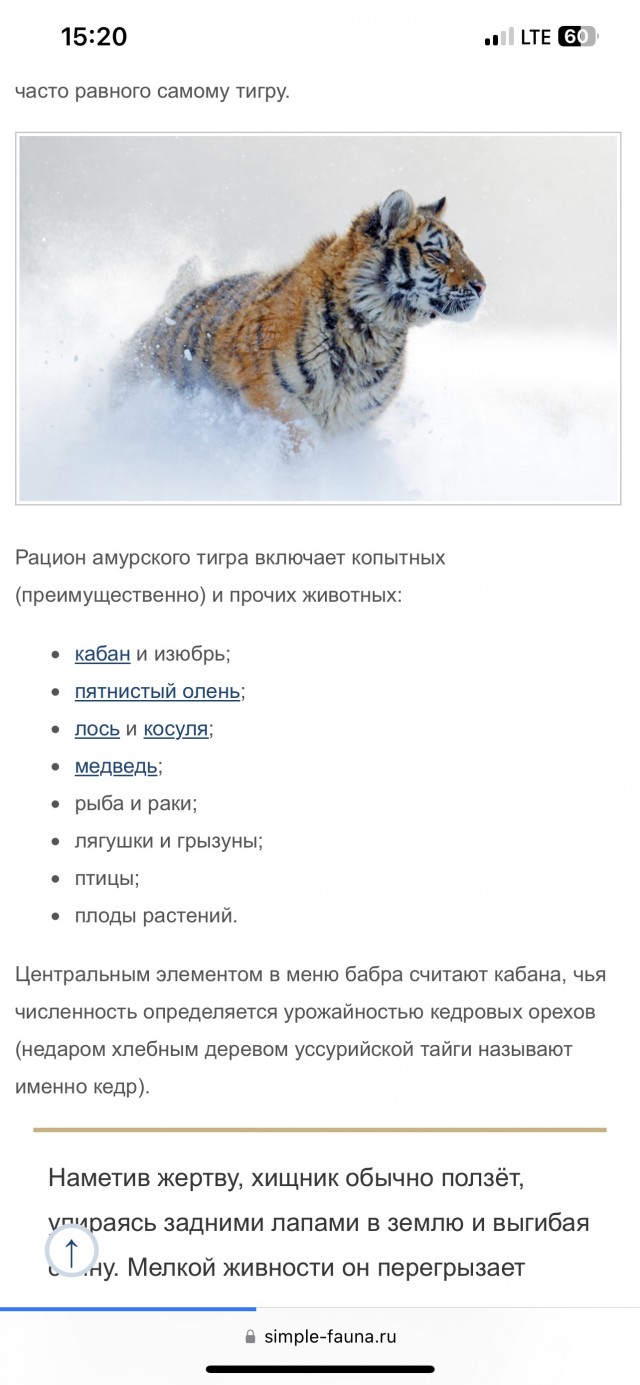 Динамика численности уссурийского тигра это пример уровня