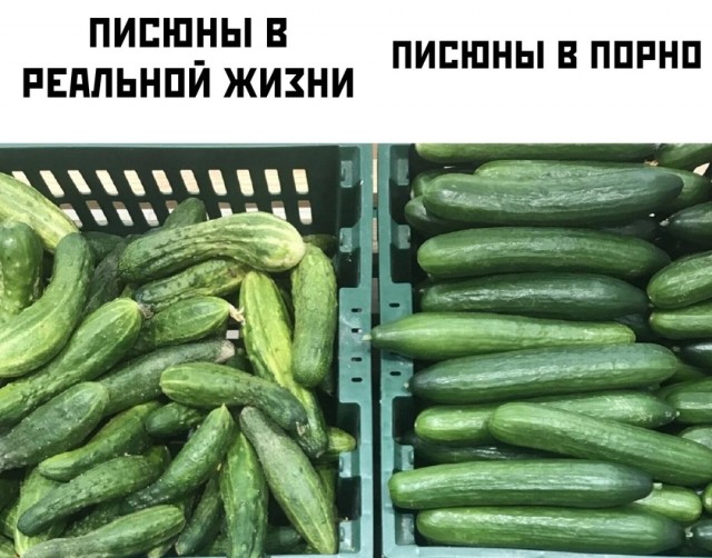 Почему женщины влюбляются в плохих парней, а выбирают хороших: ученые дали ответ